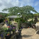 The Nest At Rockhill Holiday home Ballintra